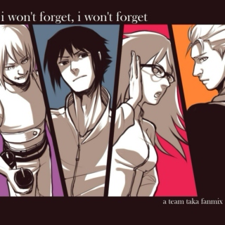 i won't forget, i won't forget