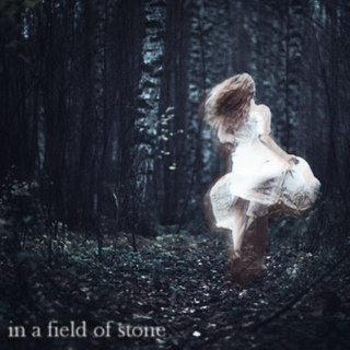 in a field of stone