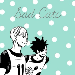 Sad Cats