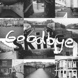 a goodbye to skins