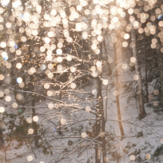 ❅ All That Glitters is Snow ❅