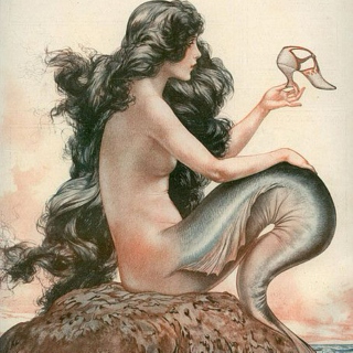 The Siren Serenade.