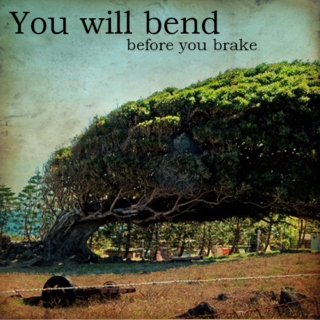 You Will Bend
