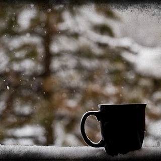 white december morning ♚