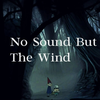 no sound but the wind