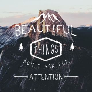 Beautiful things don't ask for attention