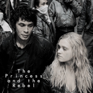 The Princess and the Rebel