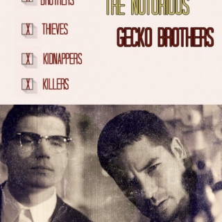 The Notorious Gecko Grothers 
