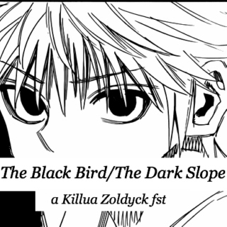 The Black Bird/The Dark Slope