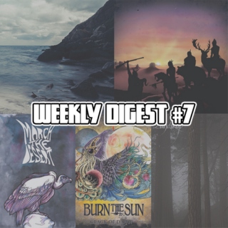 Weekly Digest #7