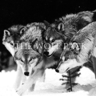 the wolf pack: disc 2