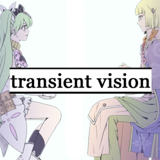 transient vision