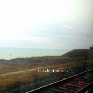 muscle memory 