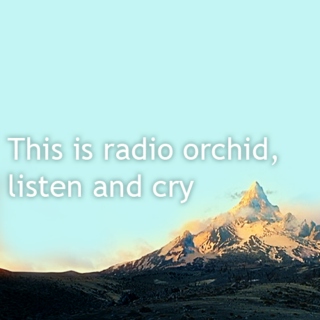 Radio Orcrist