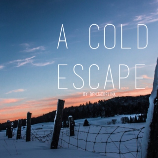 A Cold Escape 