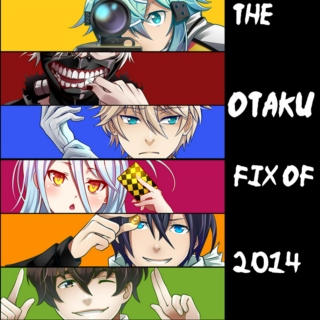 The Otaku Fix of 2014