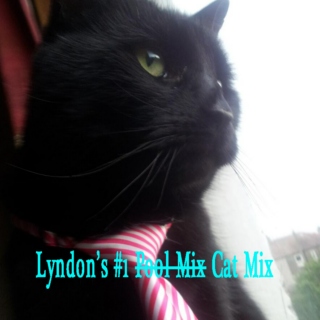Lyndon's #1 Cat Mix