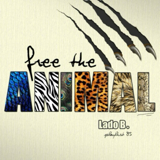 Lado B. Playlist 85 - Free the ANIMAL