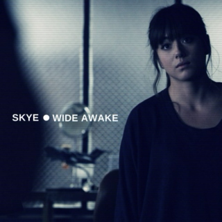 Skye - Wild awake