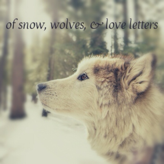 of snow, wolves & love letters
