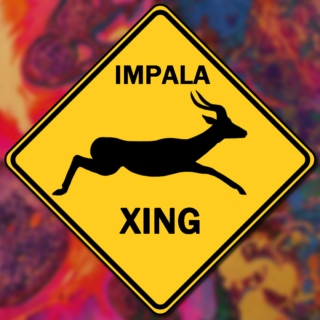 BEWARE OF THE IMPALA!