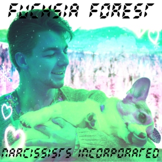 Fuchsia Forest