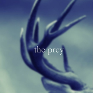 the prey