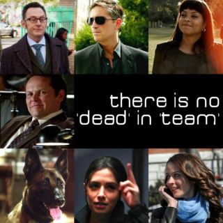 there is no 'dead' in 'team'
