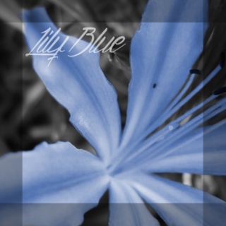 LILY BLUE