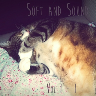Soft and Sound Covers