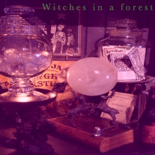 Witches In A Forest