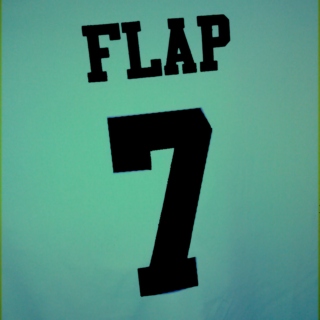 Flap Tracks #2