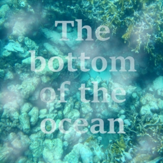 The bottom of the ocean.