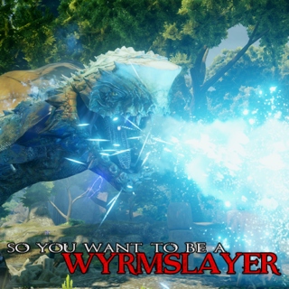 So You Want to Be a Wyrmslayer