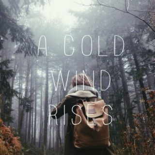a cold wind rises