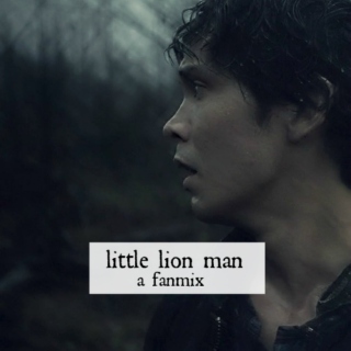 little lion man