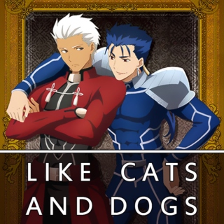 like cats and dogs