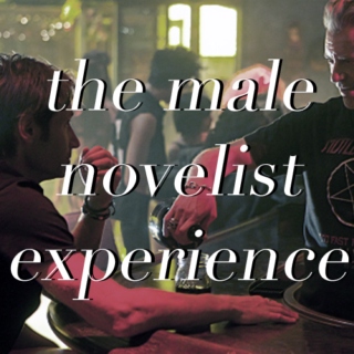 the male novelist experience