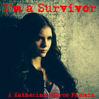 I'm a Survivor: Katherine Pierce