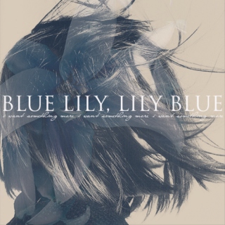 Blue Lily, Lily Blue