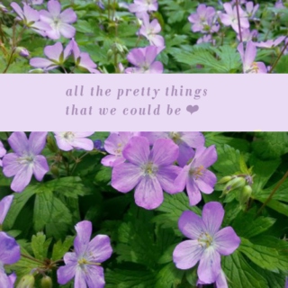 all the pretty things that we could be
