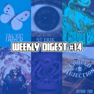 Weekly Digest #14