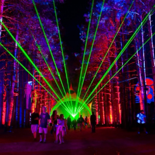 Electric Forest 2015 (#2)