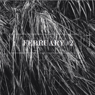 february #2