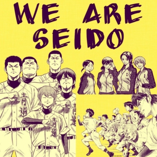 we are seido