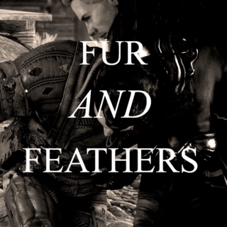 ❝fur and feathers❞