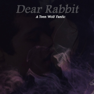 Dear Rabbit