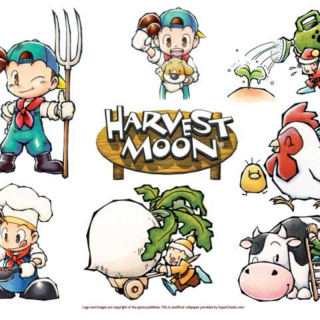Harvest Moon Seasons