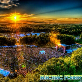 Follow Me to the Electric Forest