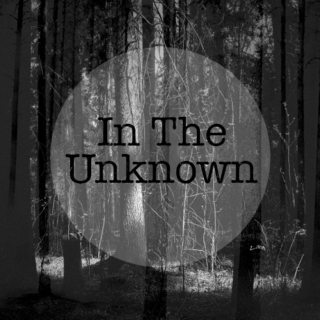 In The Unknown
